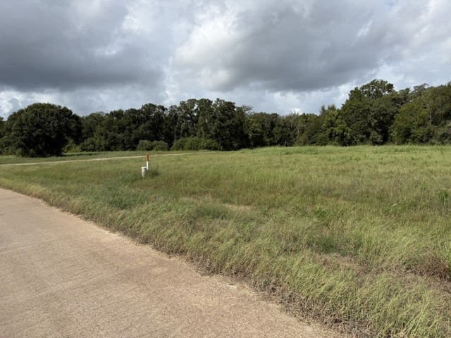 1032 Chuckwagon Trail Property Photo 5