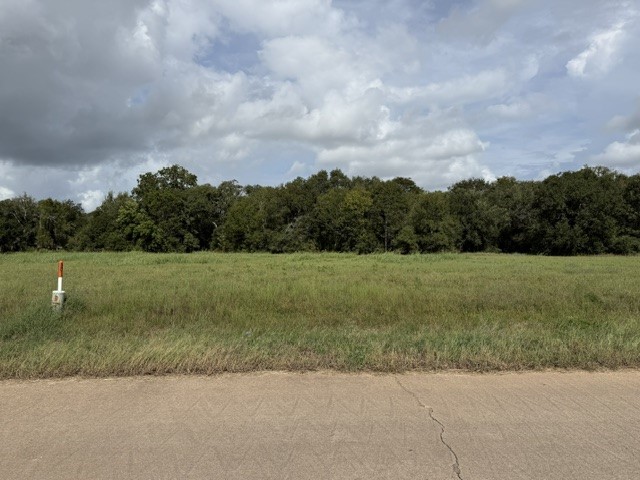 1032 Chuckwagon Trail Property Photo 6