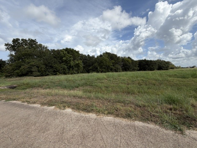 1032 Chuckwagon Trail Property Photo 8