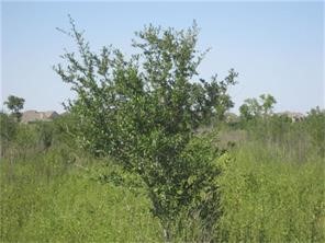 0000 Fm 723 Property Photo 3