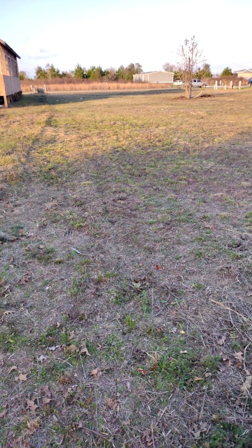 1466 Road 5728 Property Photo 3