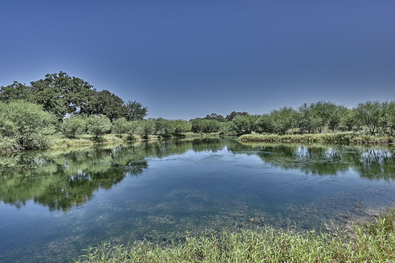 6823 Fawn Oaks Ridge