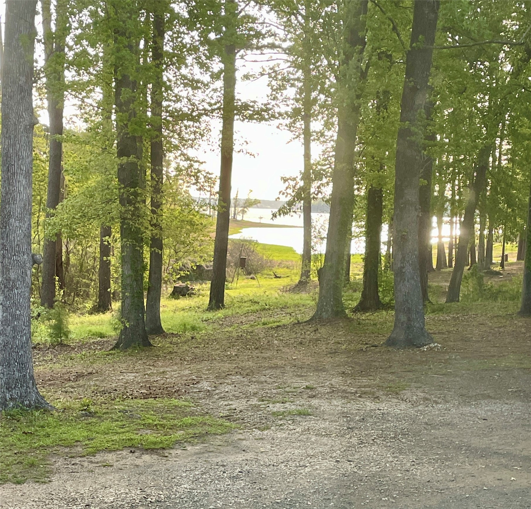 5972 State Highway 147 Property Photo 13