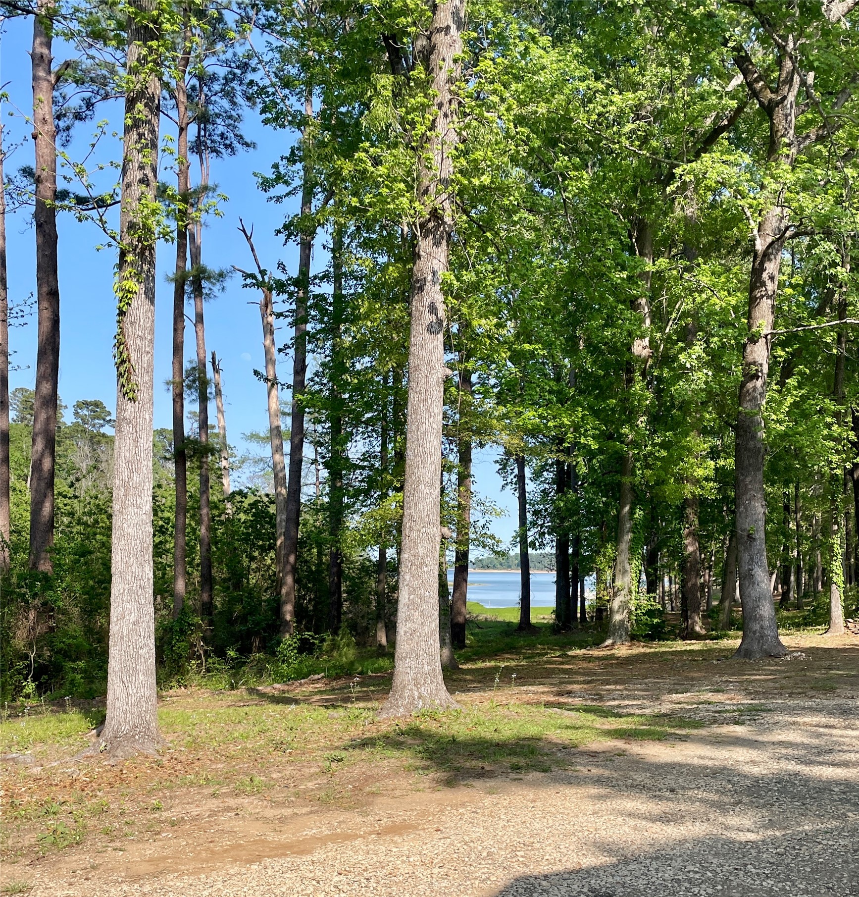 5972 State Highway 147 Property Photo 15