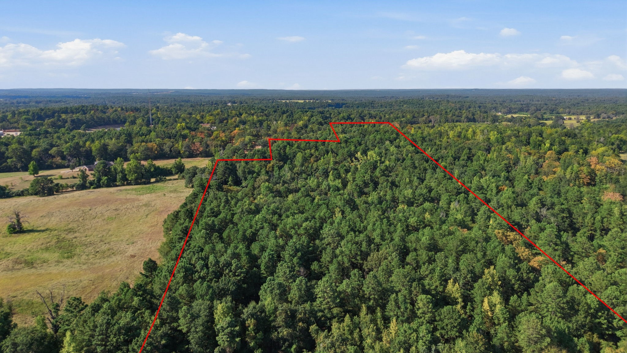 0 An County Road 359 Property Photo 3
