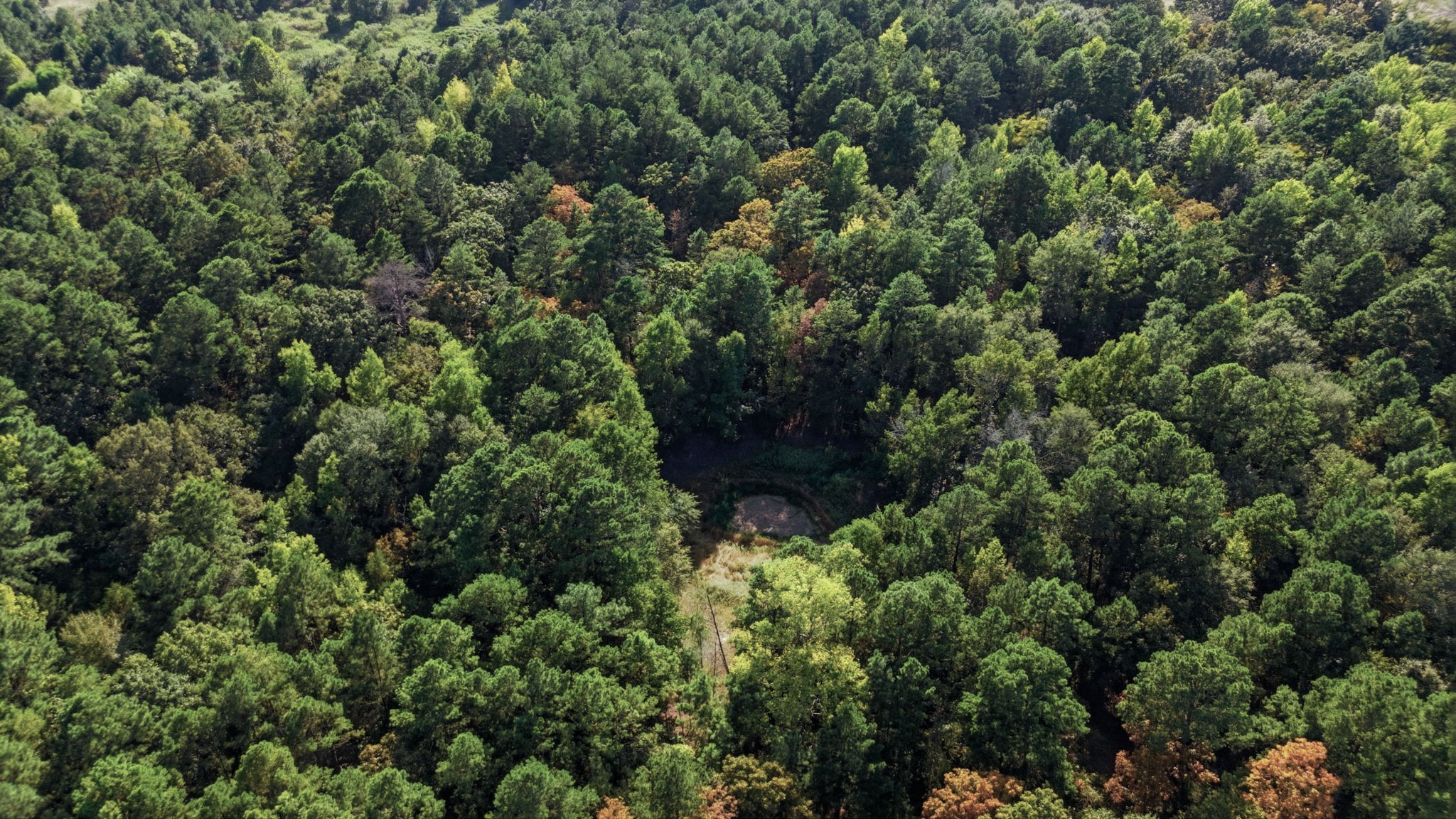 0 An County Road 359 Property Photo 14
