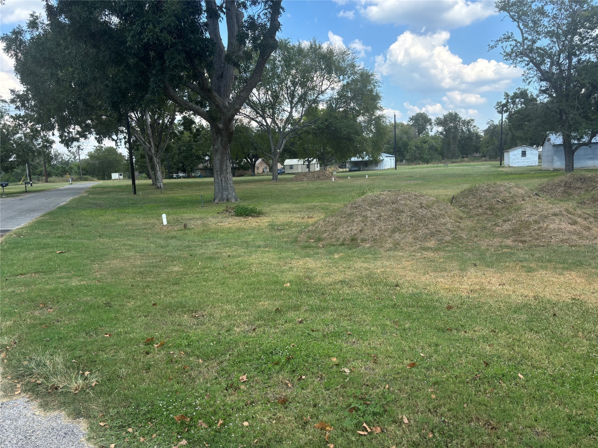 N/a Live Oak Street Property Photo 6