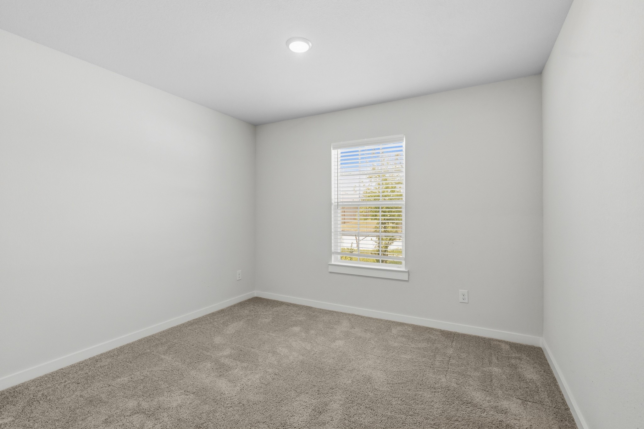 4696 Peony Green Drive Property Photo 16