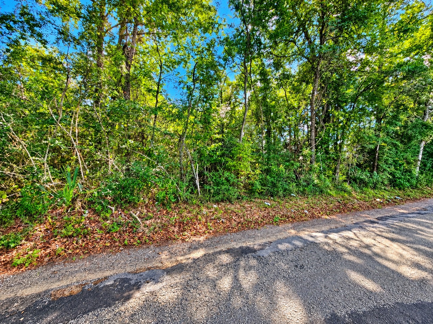 00 Shraderville Road Property Photo 29