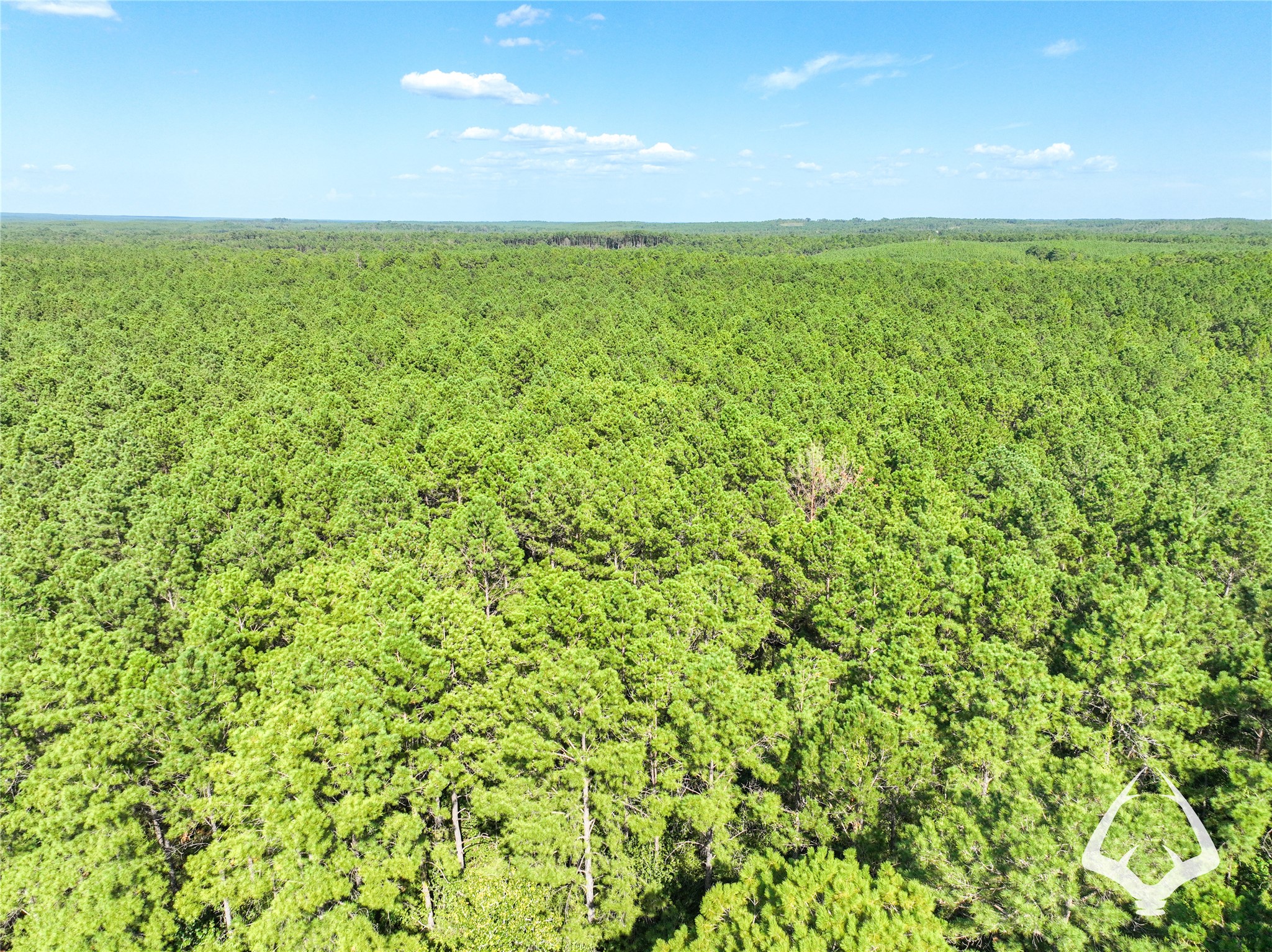1698 County Road 2975 Property Photo 6