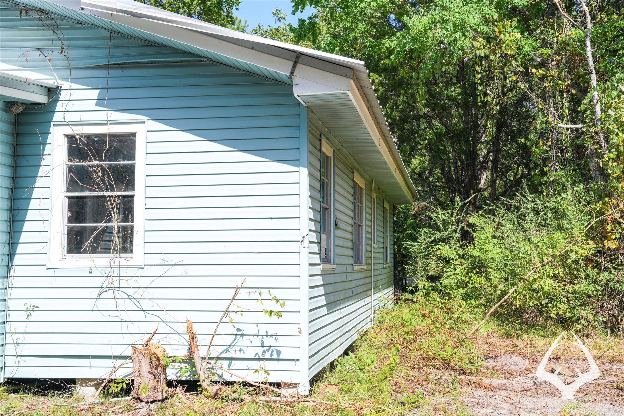 1698 County Road 2975 Property Photo 14
