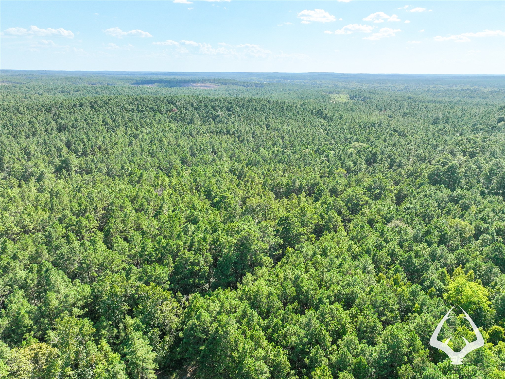 1698 County Road 2975 Property Photo 18