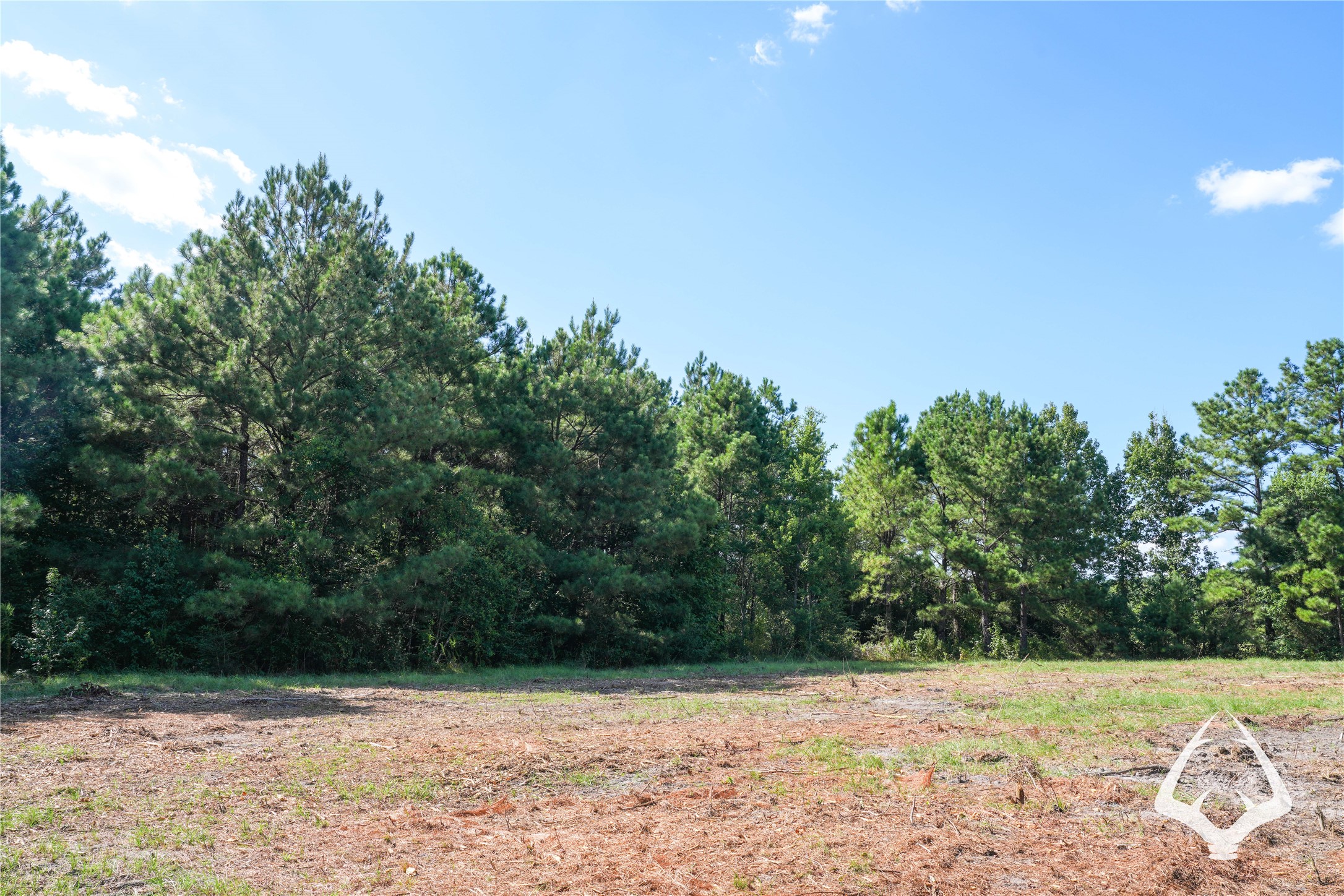 1698 County Road 2975 Property Photo 28