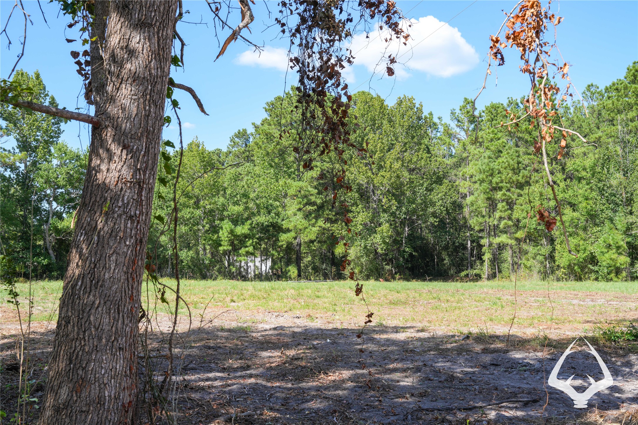 1698 County Road 2975 Property Photo 29