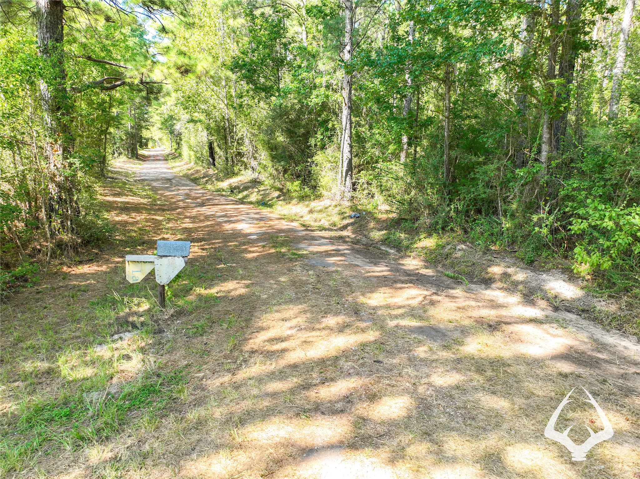 1698 County Road 2975 Property Photo 47