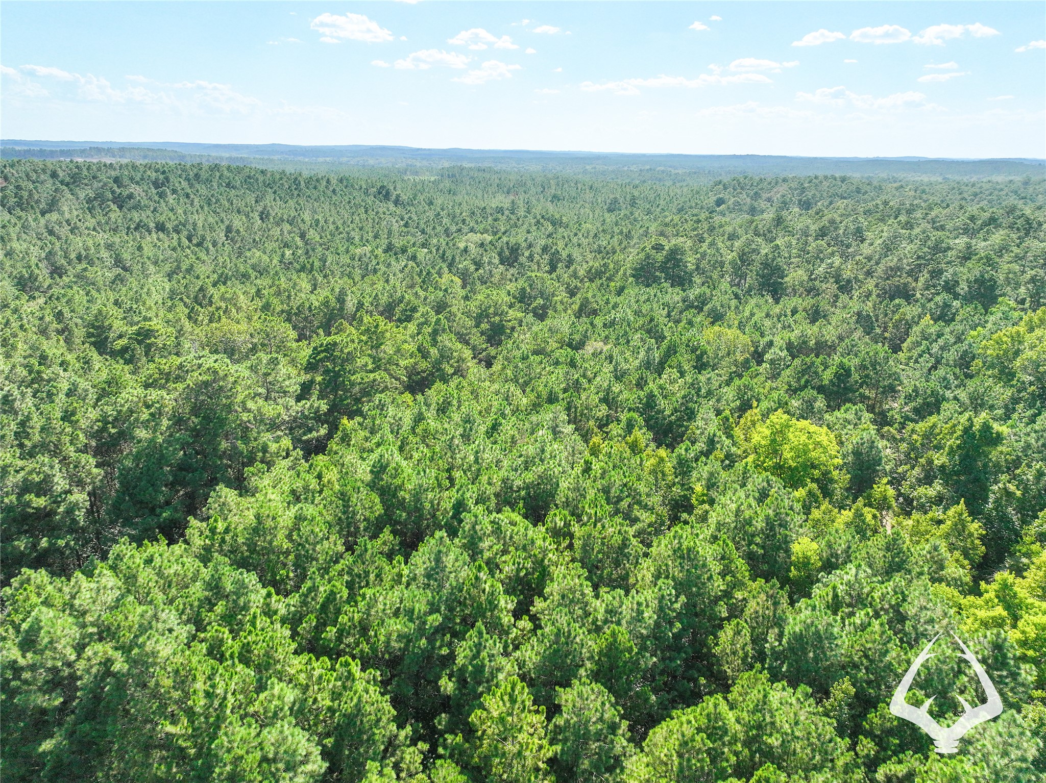 1698 County Road 2975 Property Photo 48