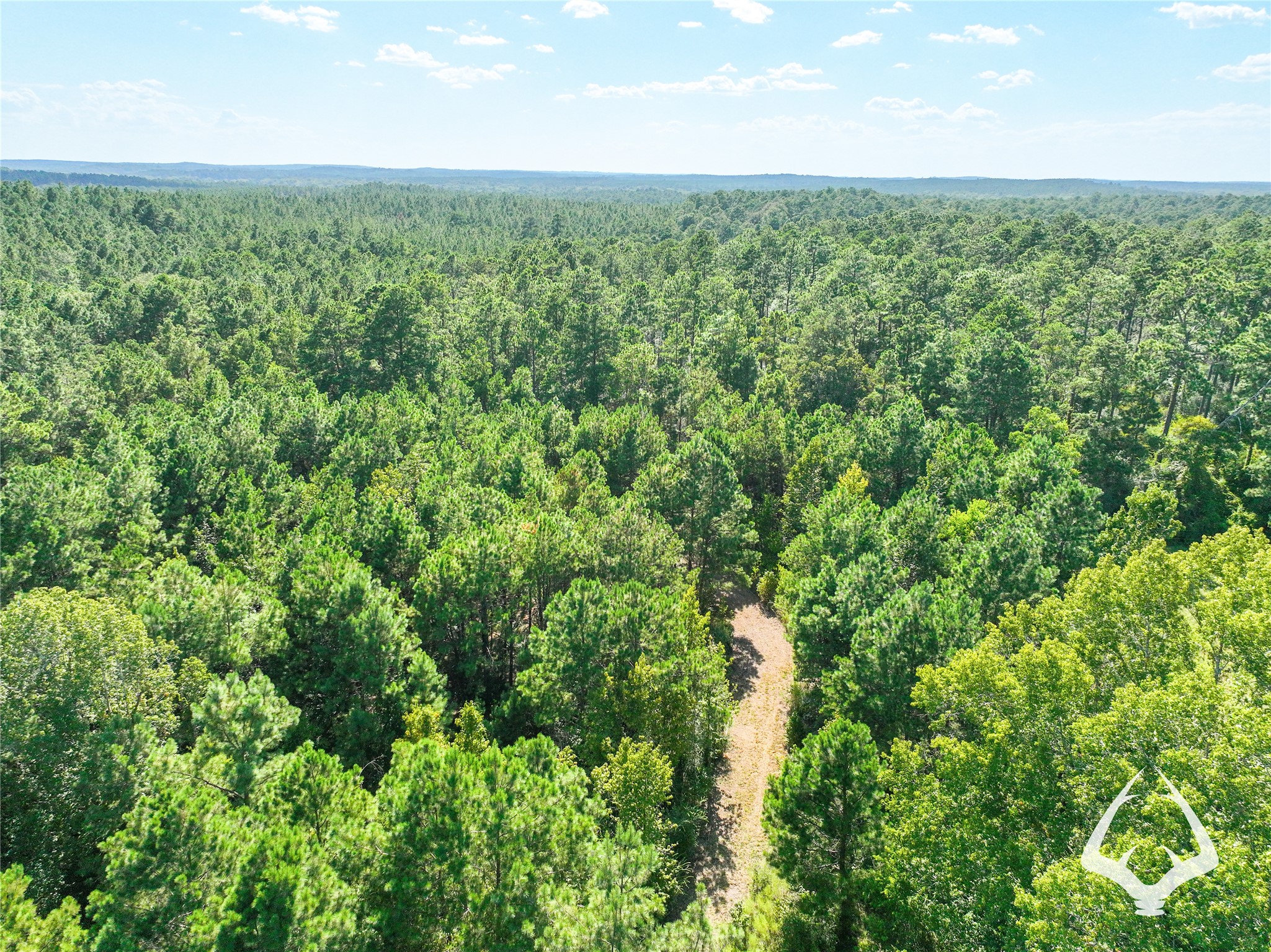 1698 County Road 2975 Property Photo 49