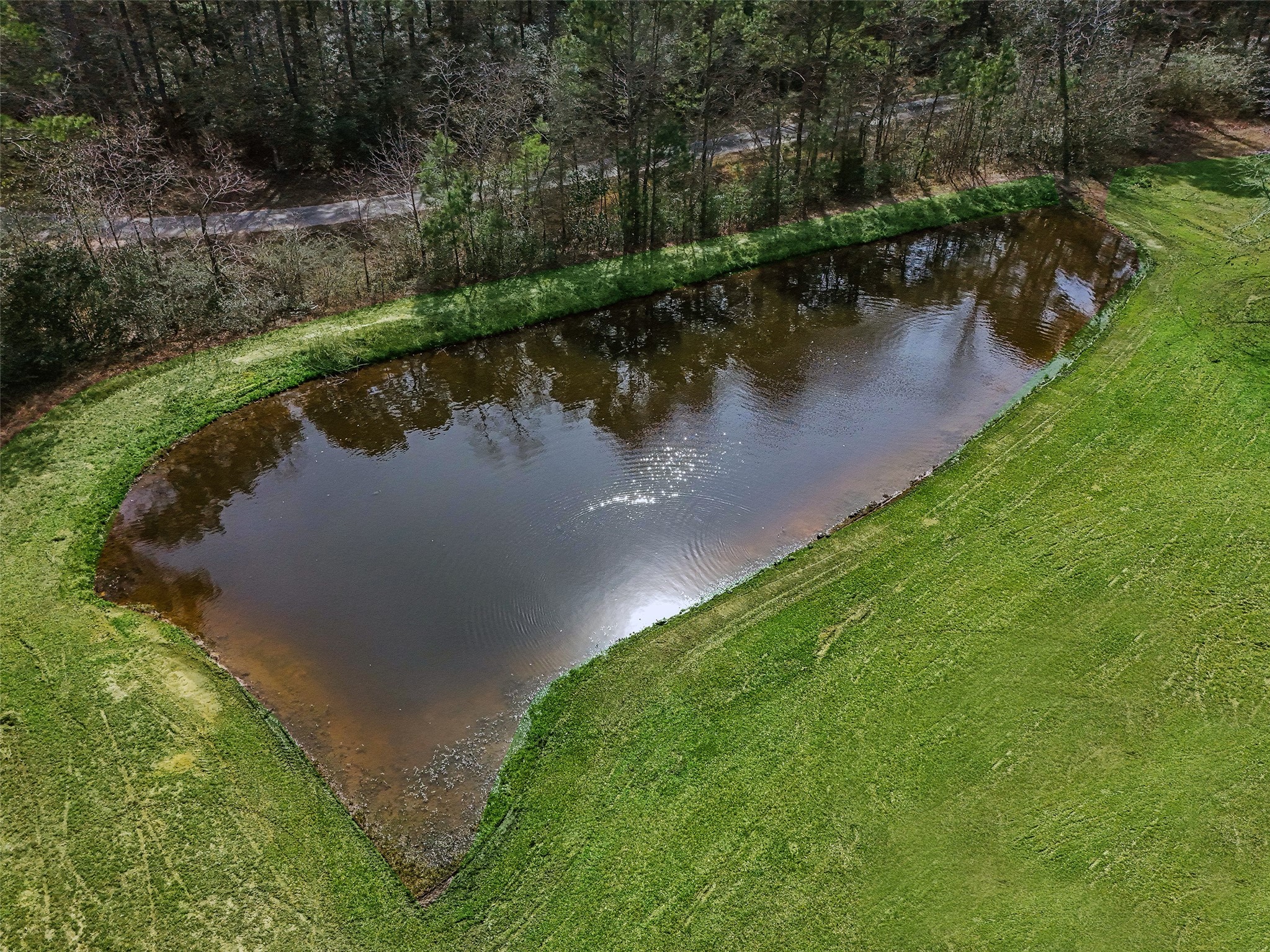 12998 Rocky Road Property Photo 13
