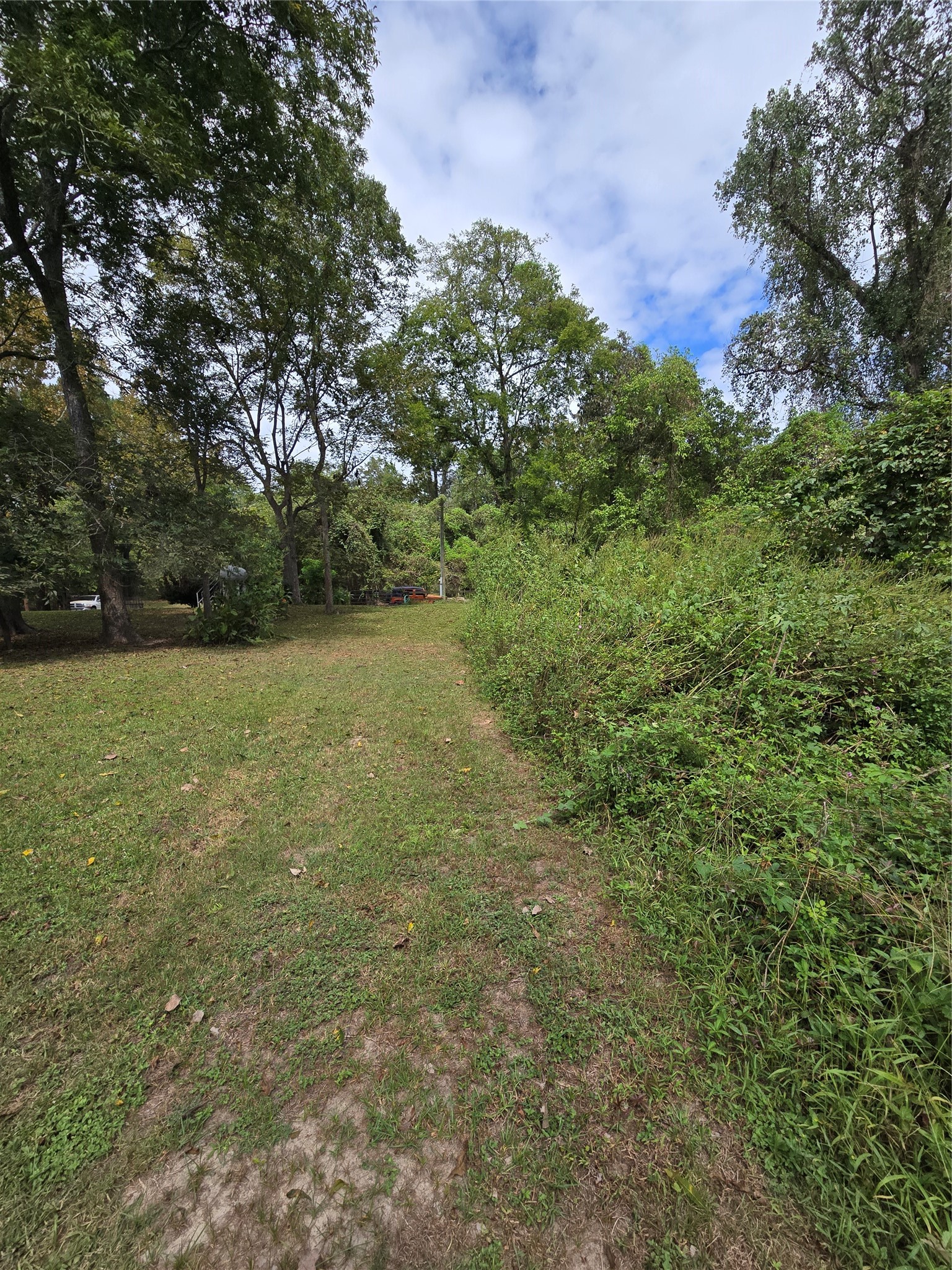 1438 County Road 2167 Property Photo 2