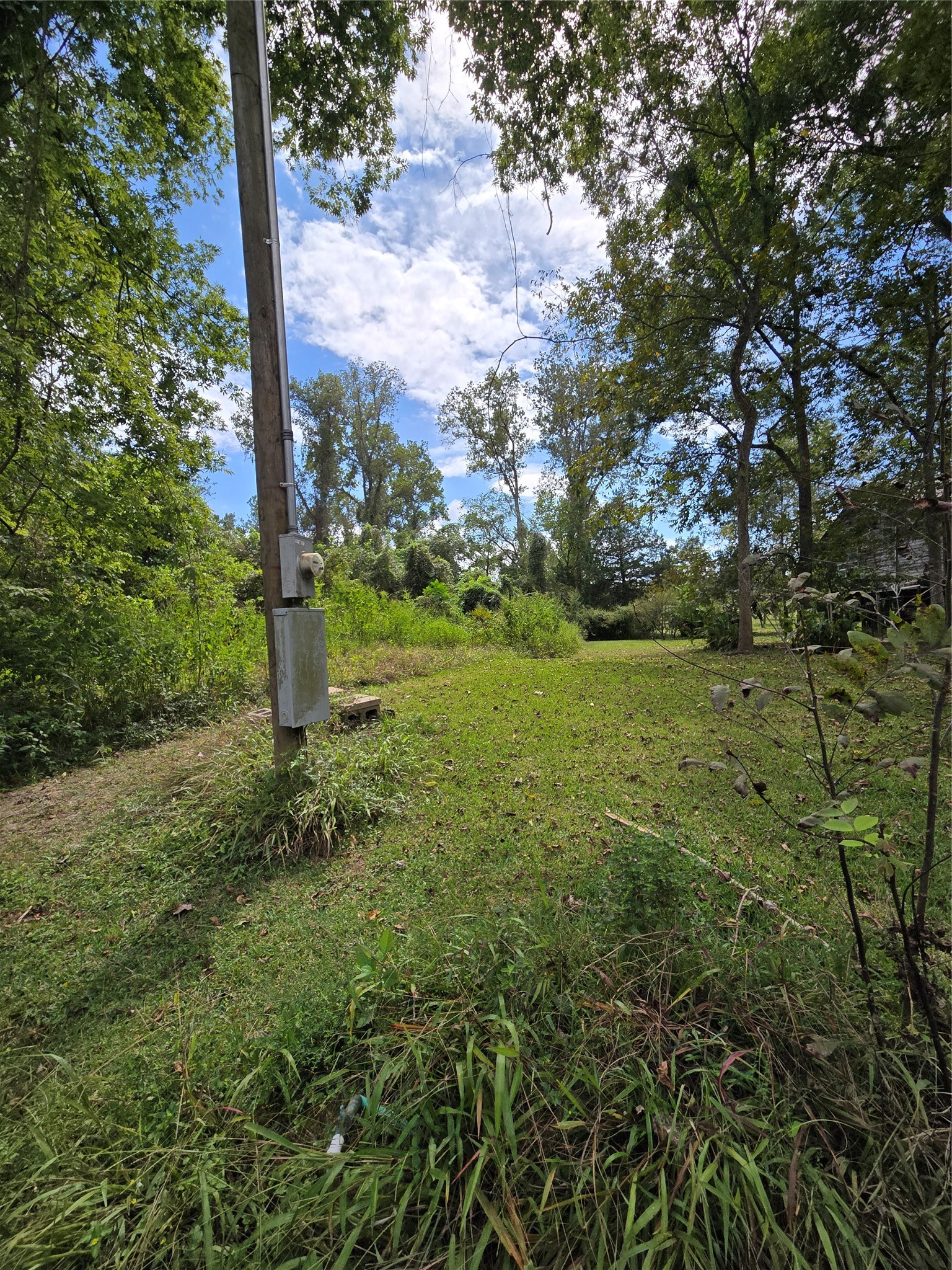 1438 County Road 2167 Property Photo 3