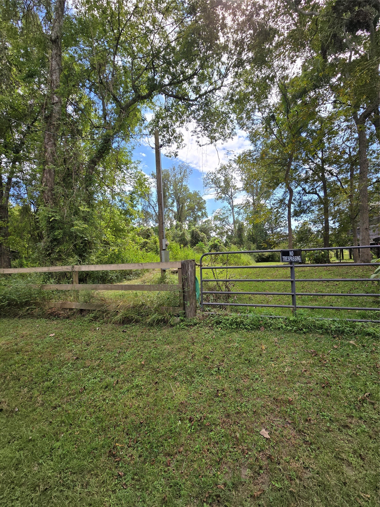1438 County Road 2167 Property Photo 4