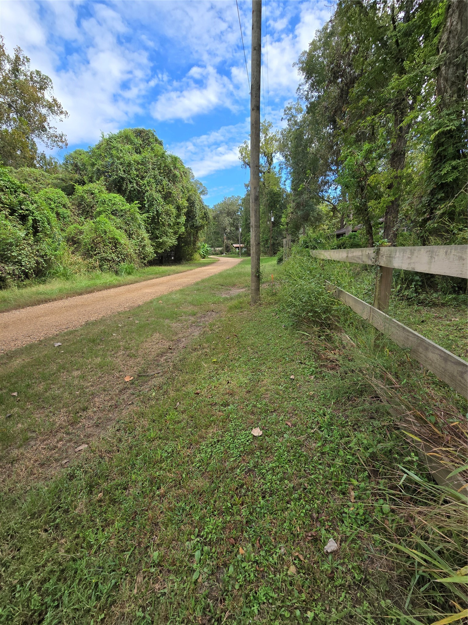 1438 County Road 2167 Property Photo 6
