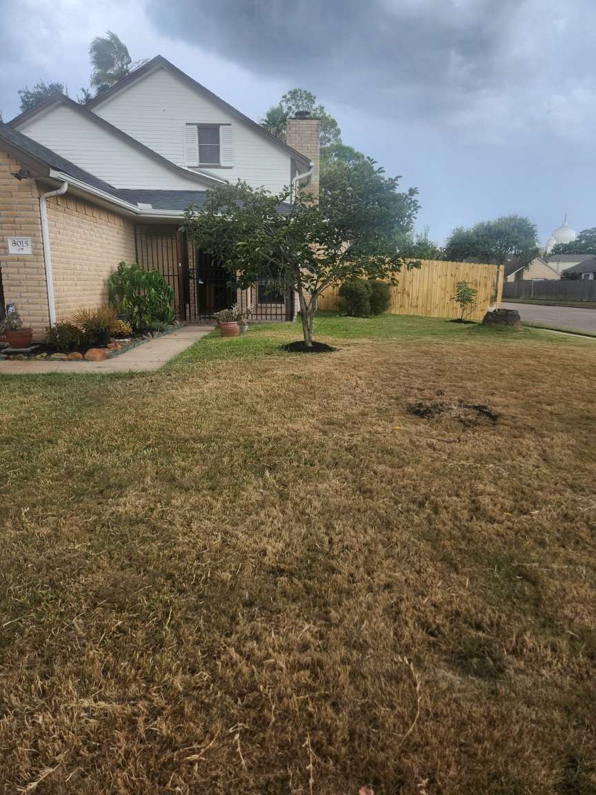 8015 Crestwick Drive Property Photo 10