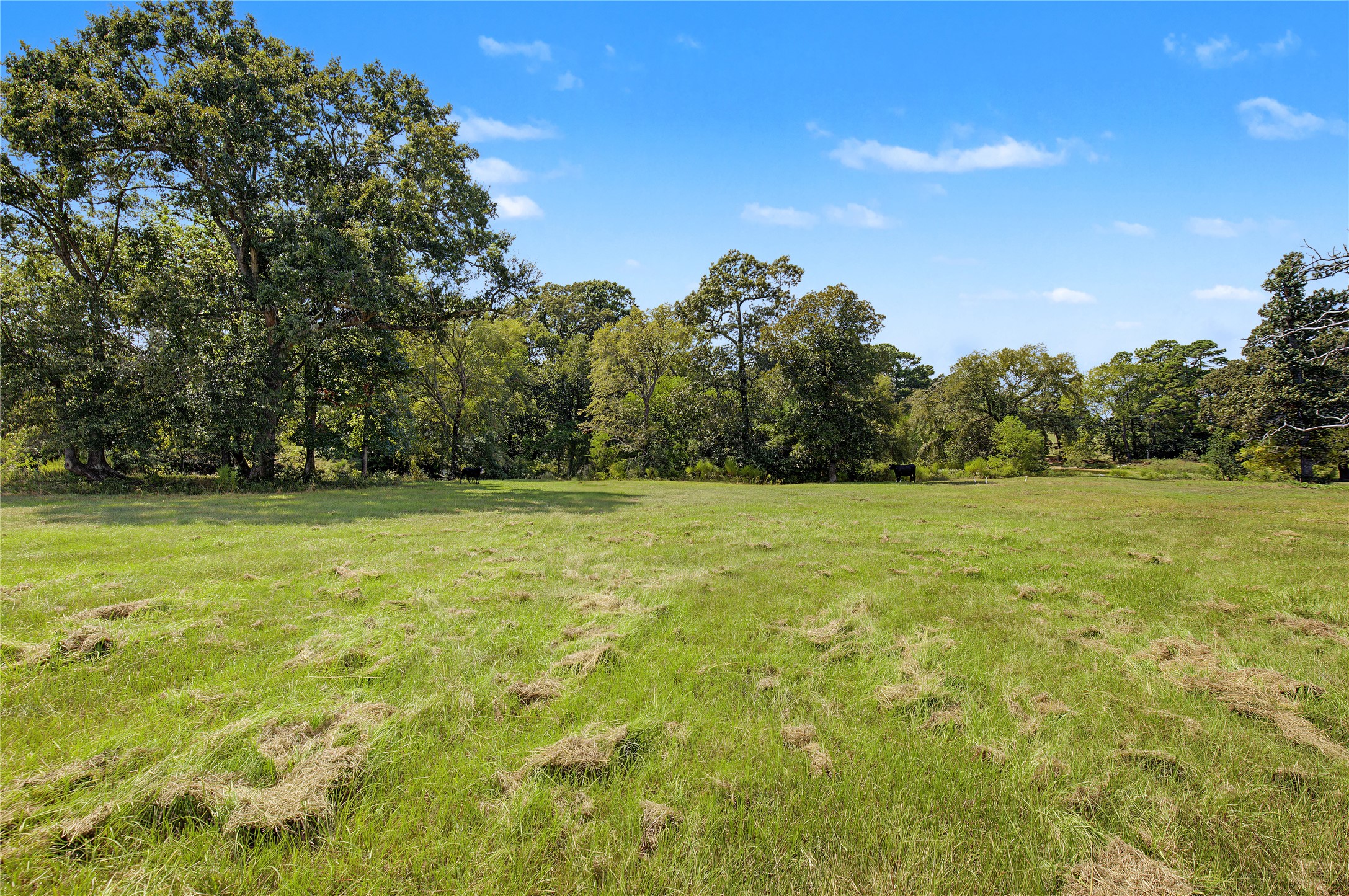 13111 Shepard Hill Road Property Photo 9