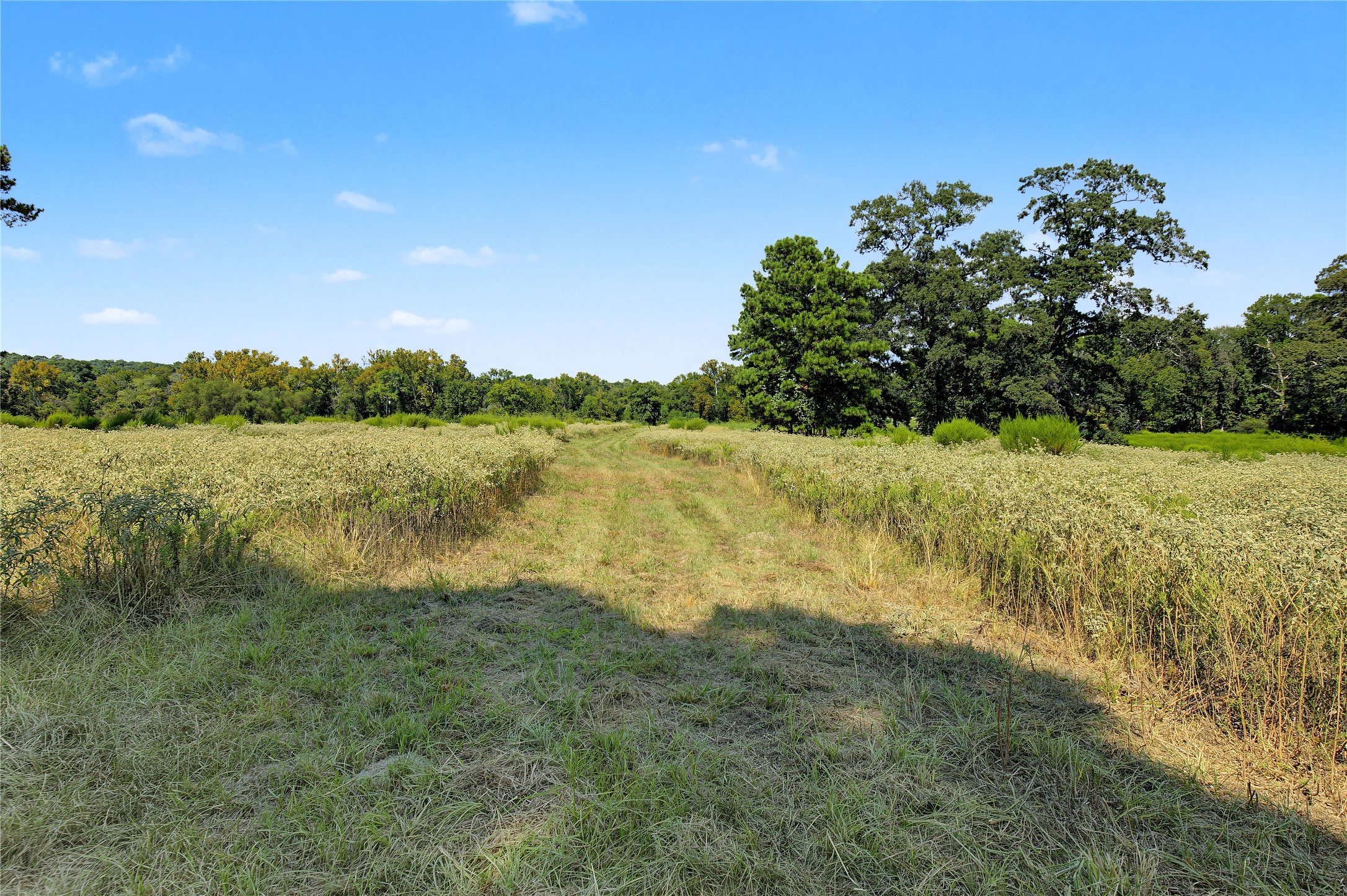 13111 Shepard Hill Road Property Photo 10