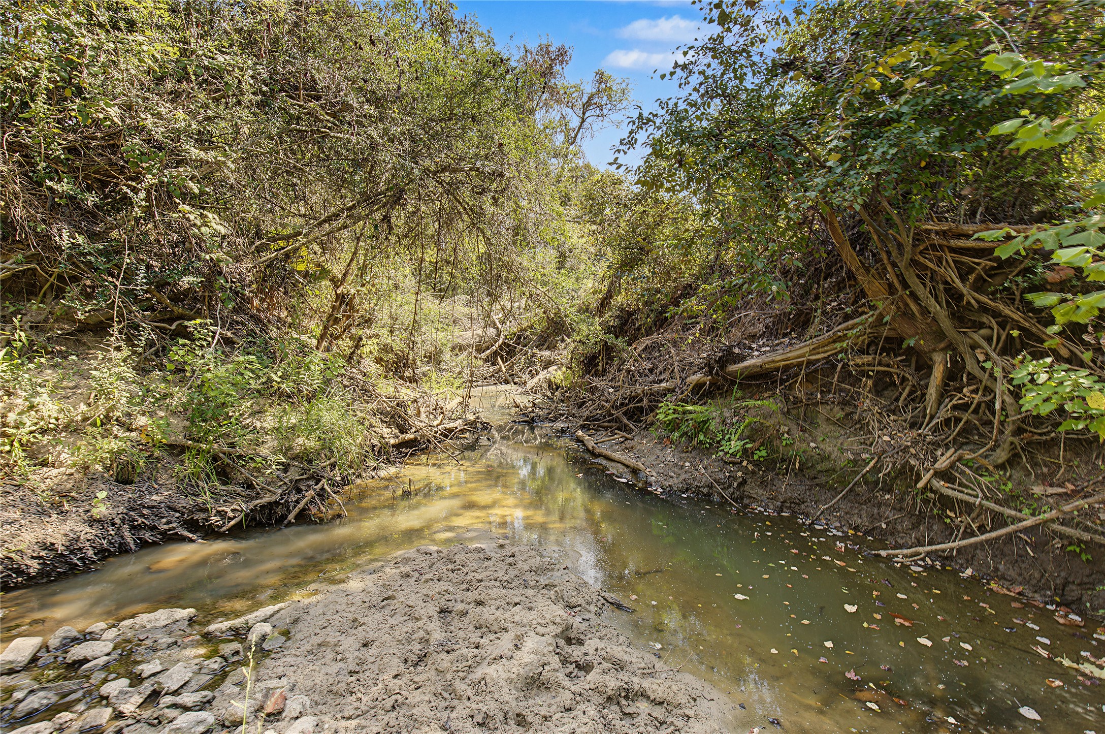 13111 Shepard Hill Road Property Photo 11