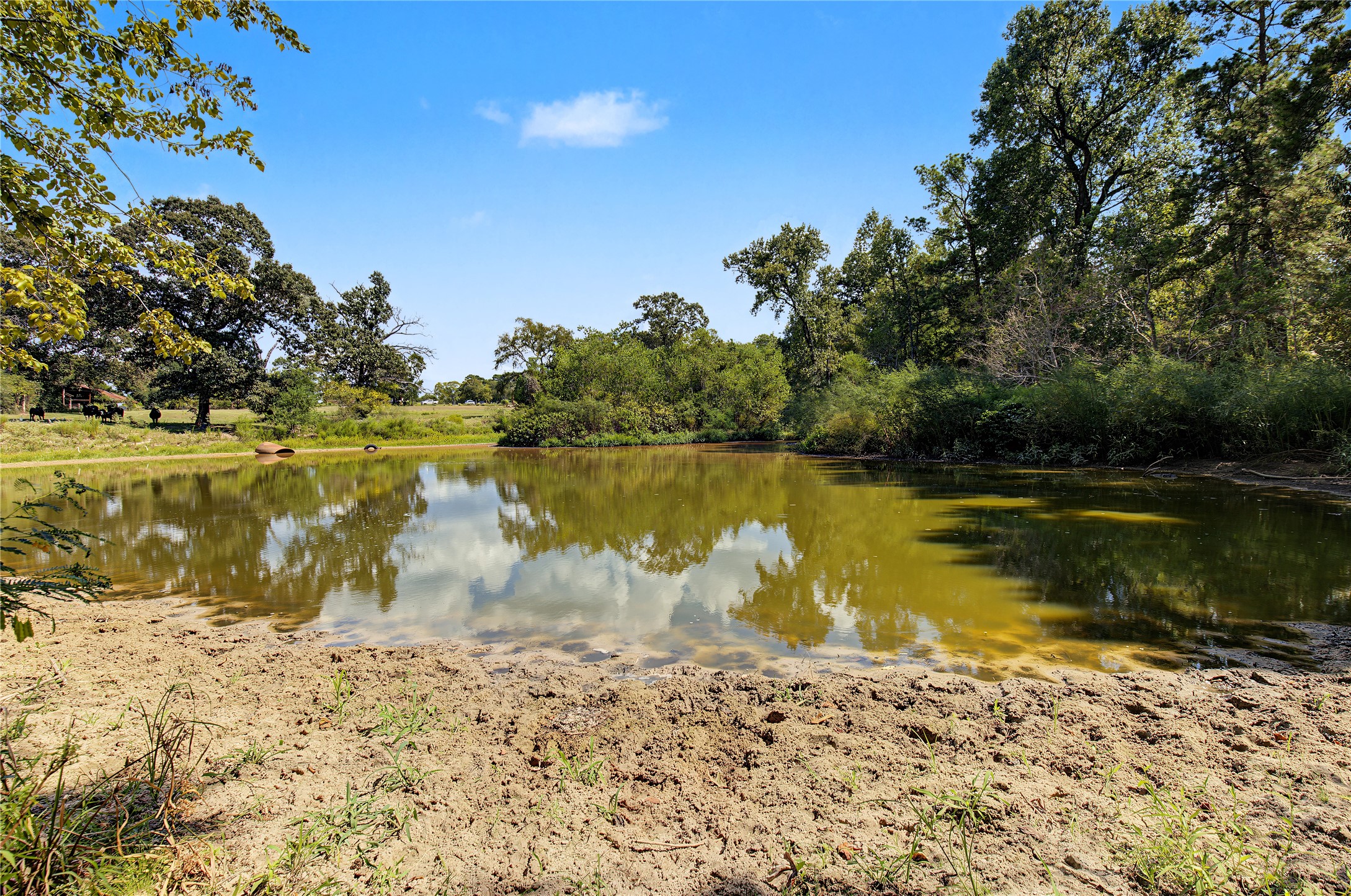 13111 Shepard Hill Road Property Photo 12