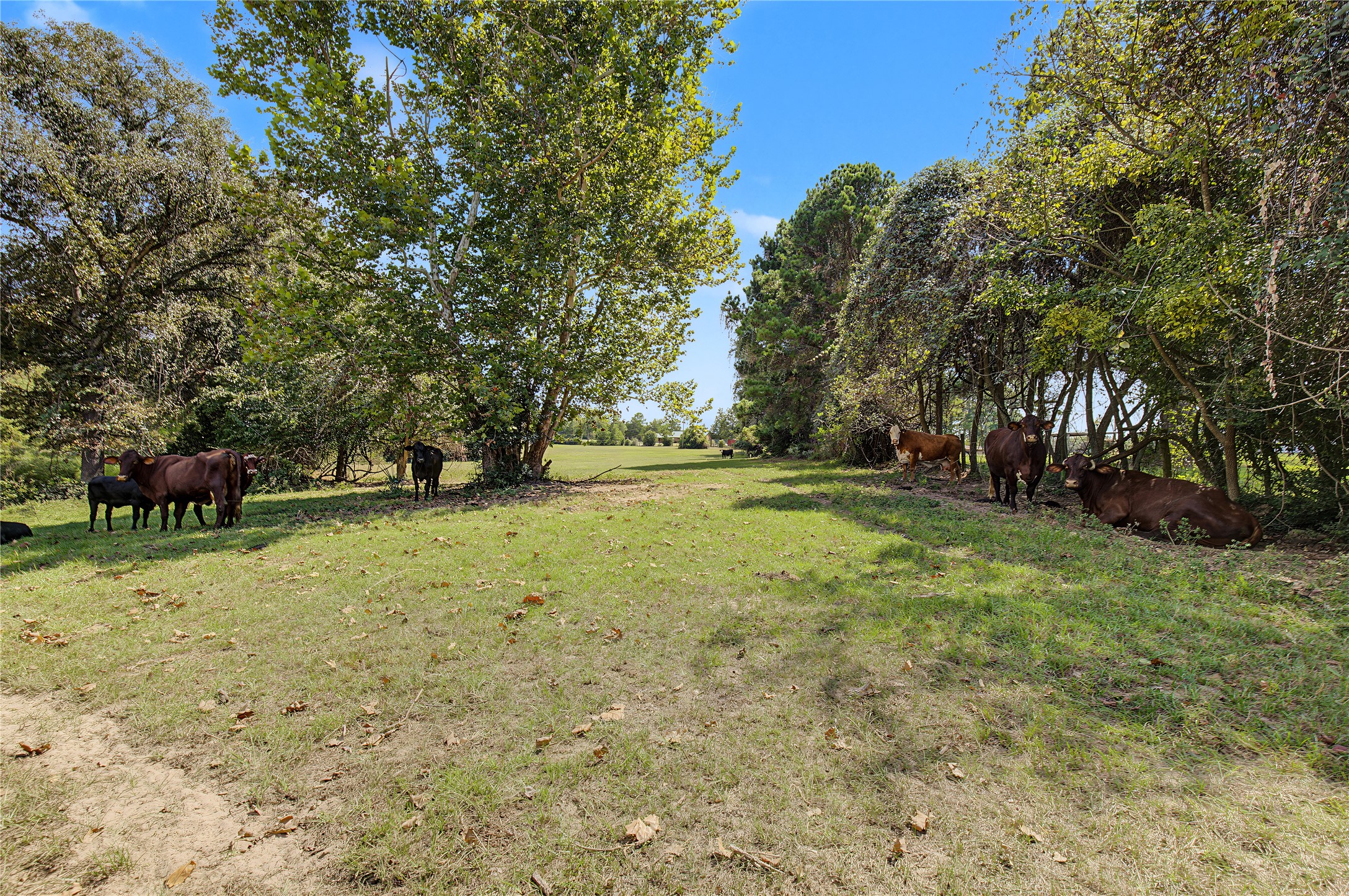13111 Shepard Hill Road Property Photo 13