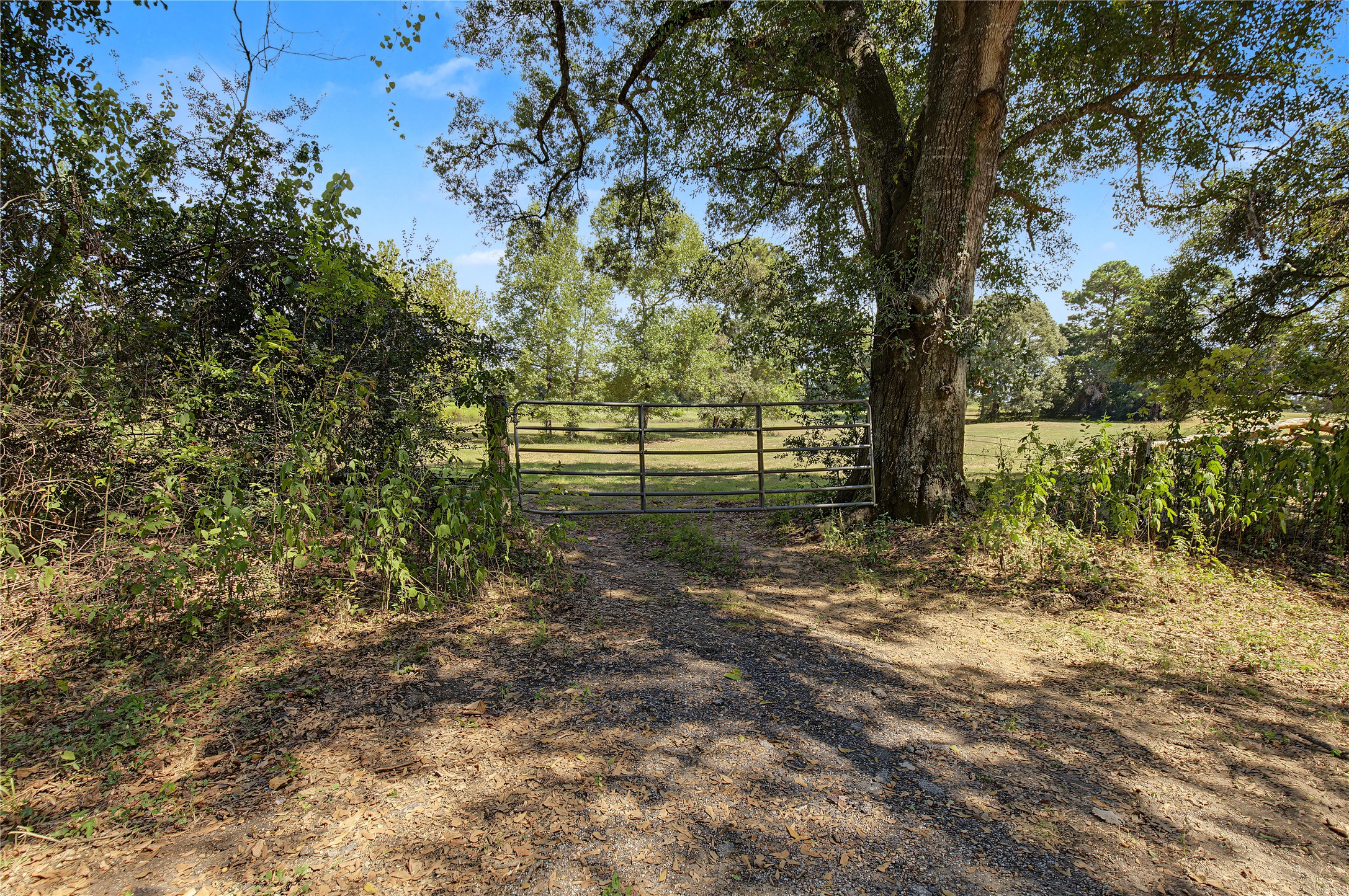 13111 Shepard Hill Road Property Photo 14