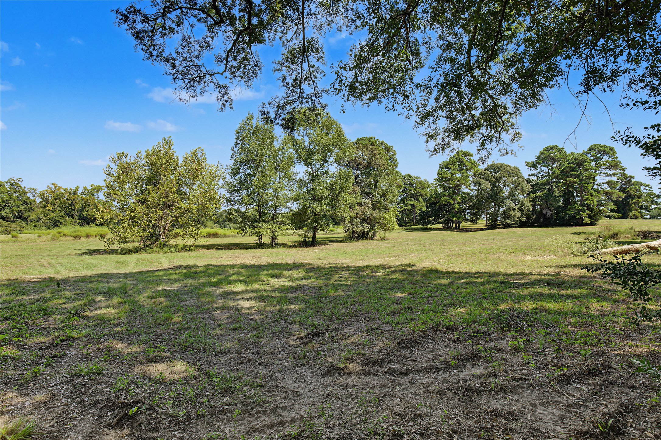 13111 Shepard Hill Road Property Photo 15