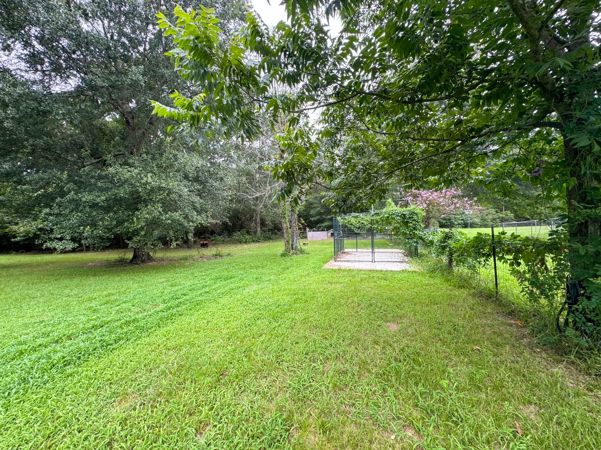 11210 Amber Park Drive Property Photo 26