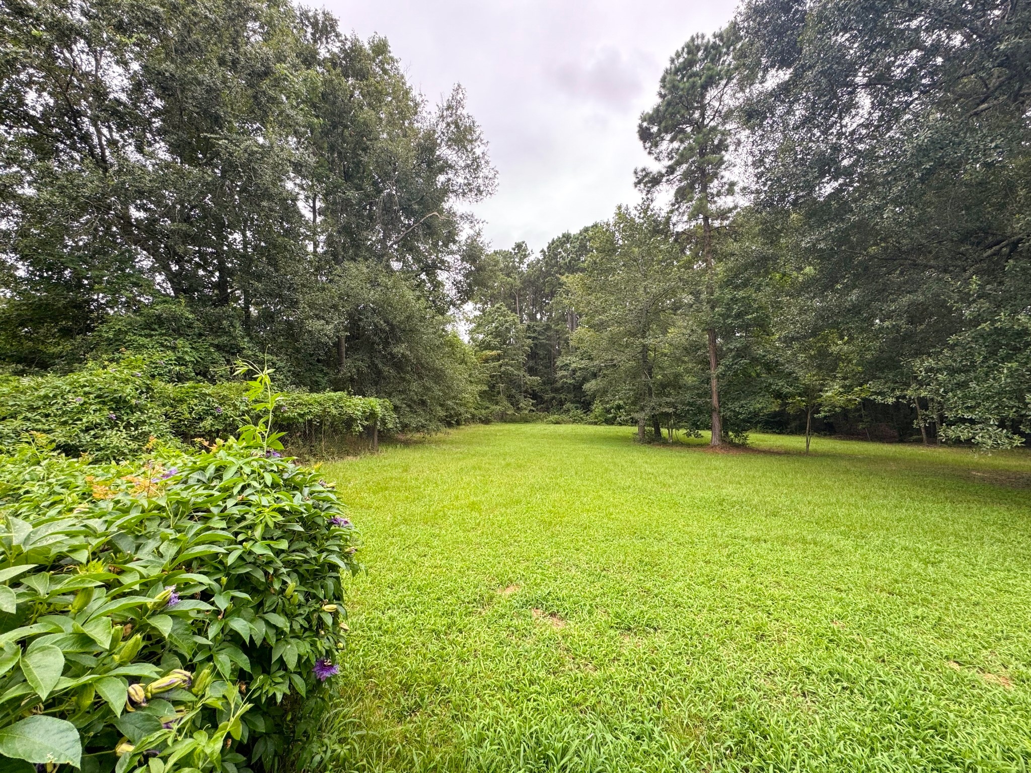 11210 Amber Park Drive Property Photo 30