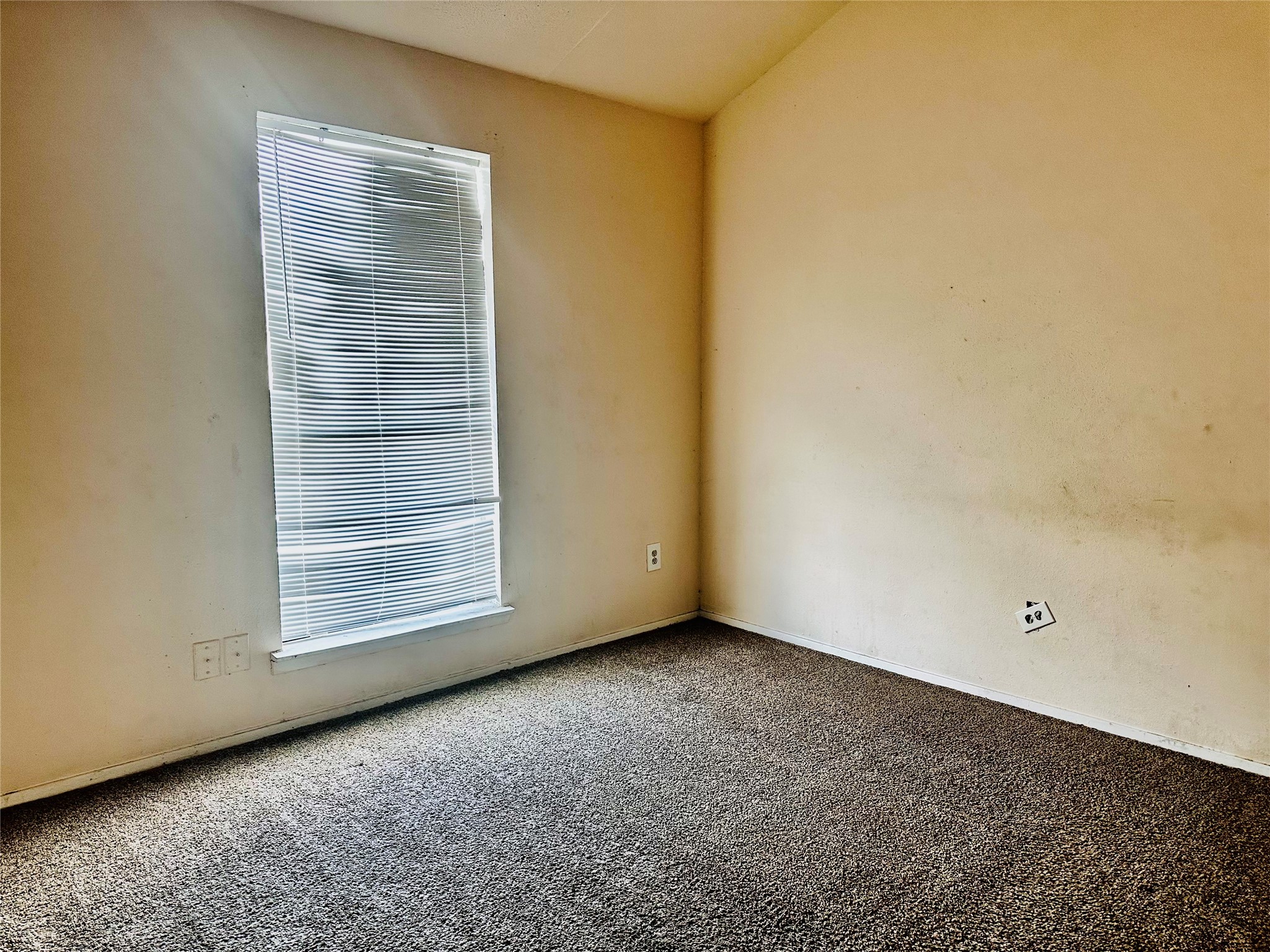 12656 Windsor Village Drive 2656 Property Photo 16