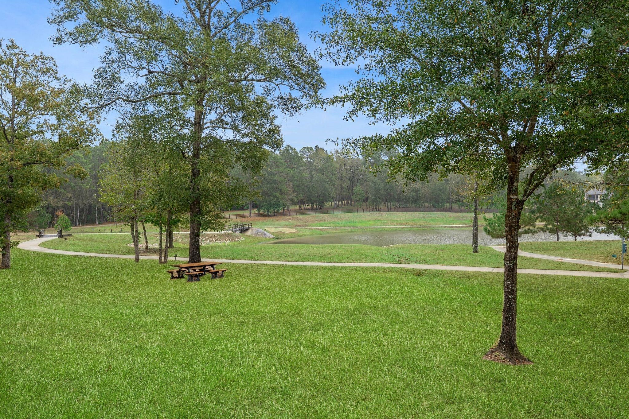8604 Trinity Pines Court Property Photo 48