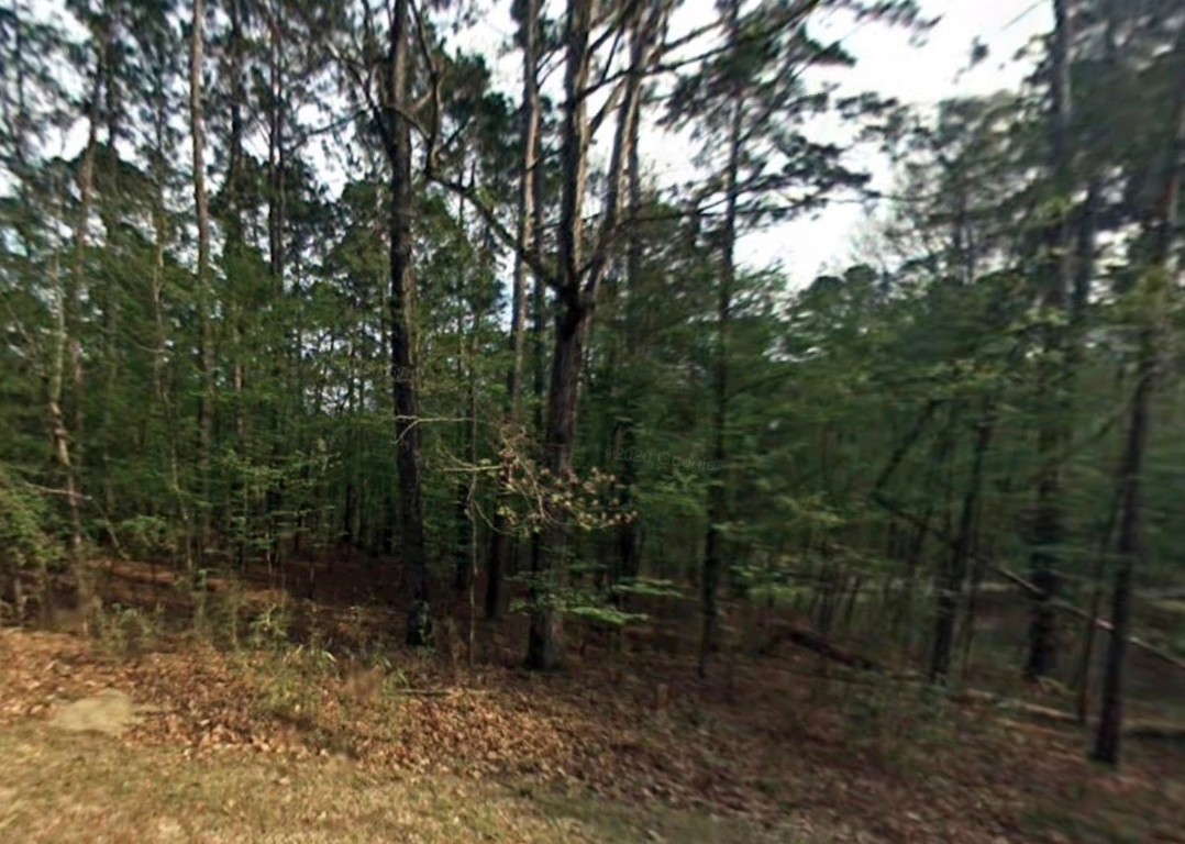 58 S Pine Harbour Drive Property Photo 1
