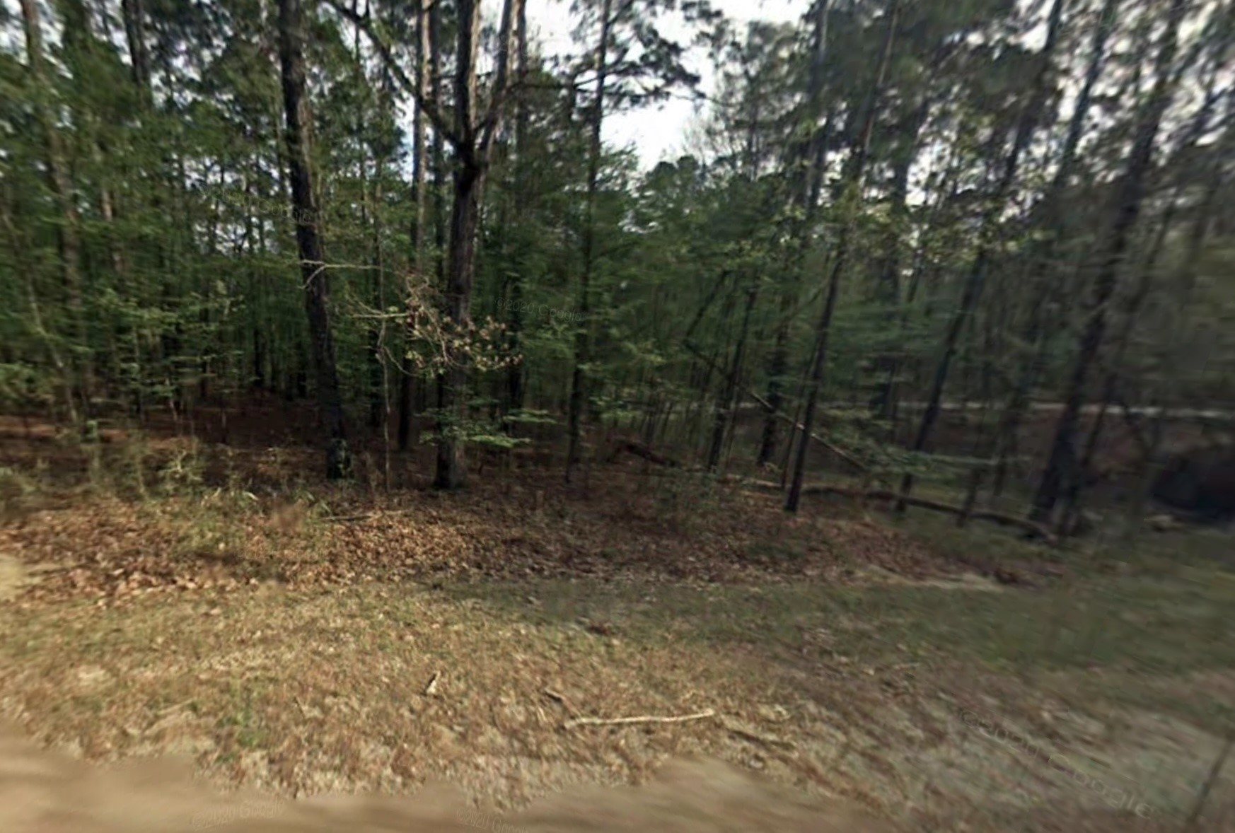 58 S Pine Harbour Drive Property Photo 2