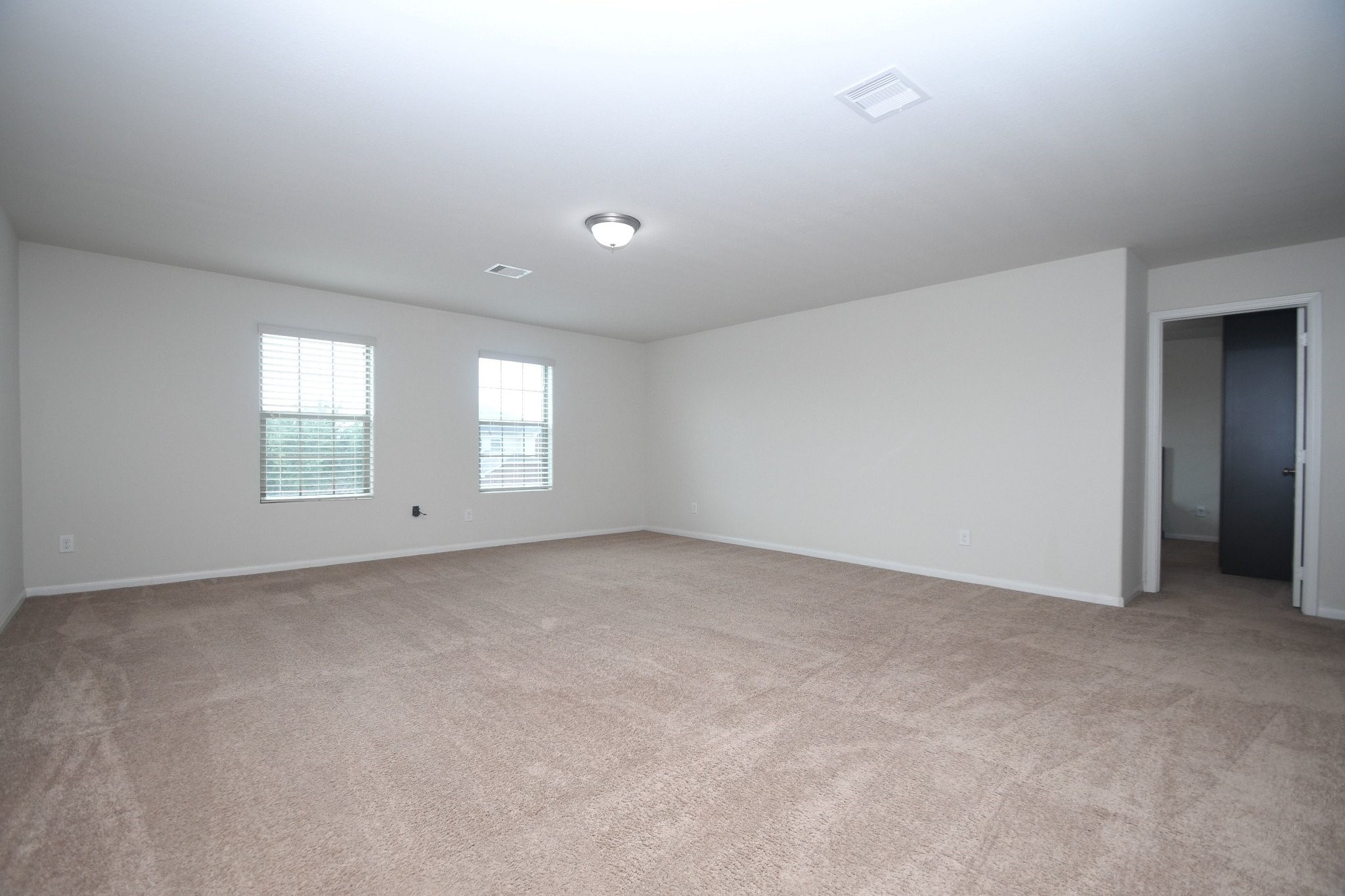20114 Linden Spruce Lane Property Photo 18