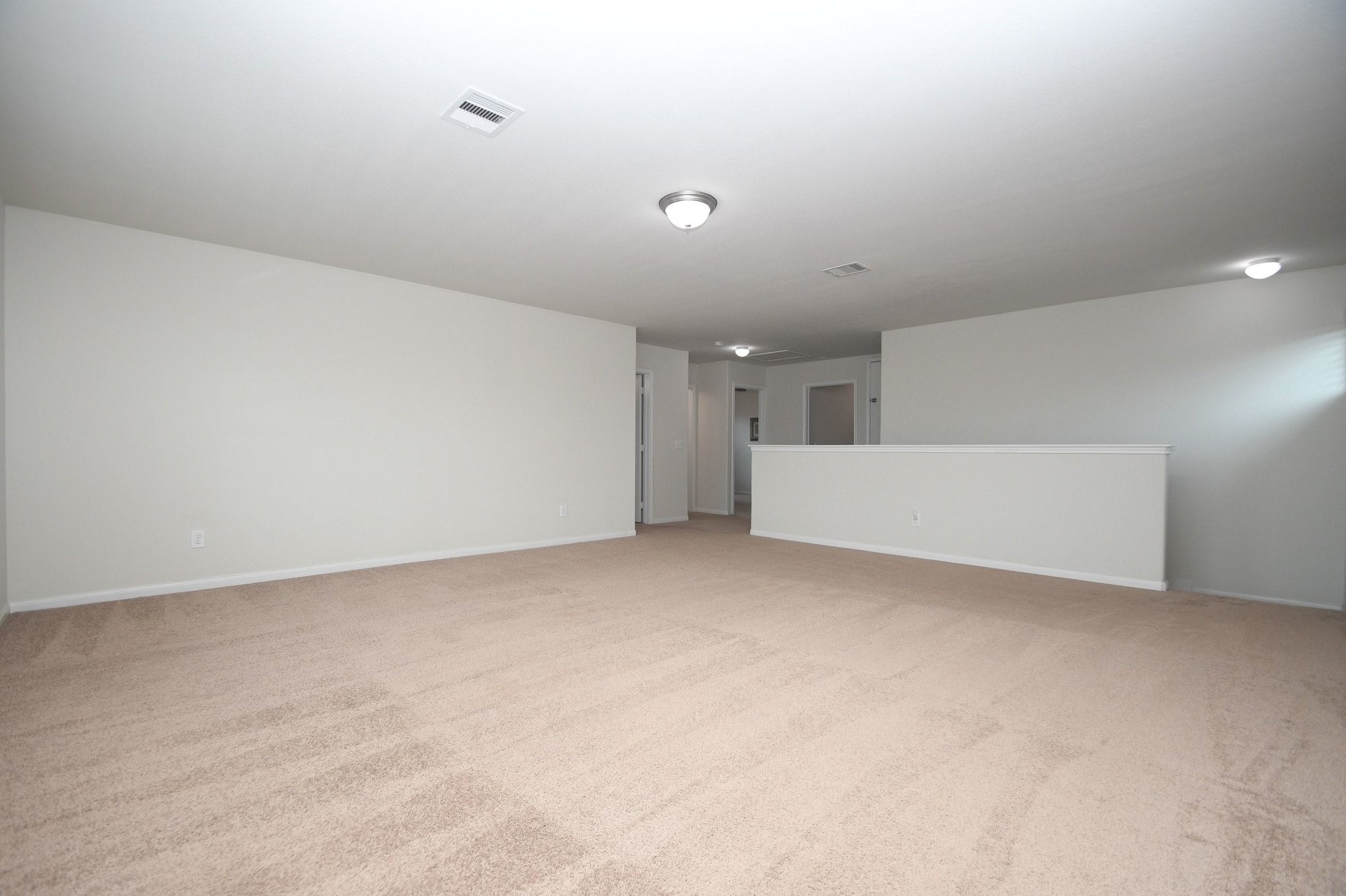 20114 Linden Spruce Lane Property Photo 19