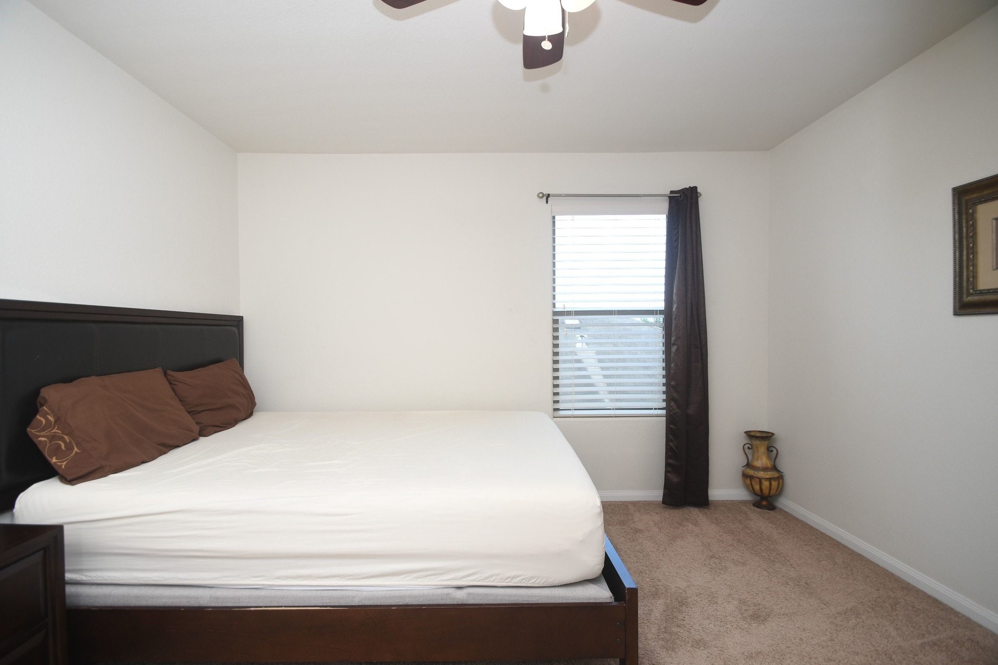 20114 Linden Spruce Lane Property Photo 25