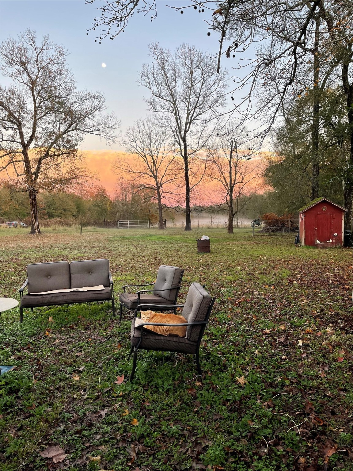 2725 Fm 1010 Road Property Photo 1