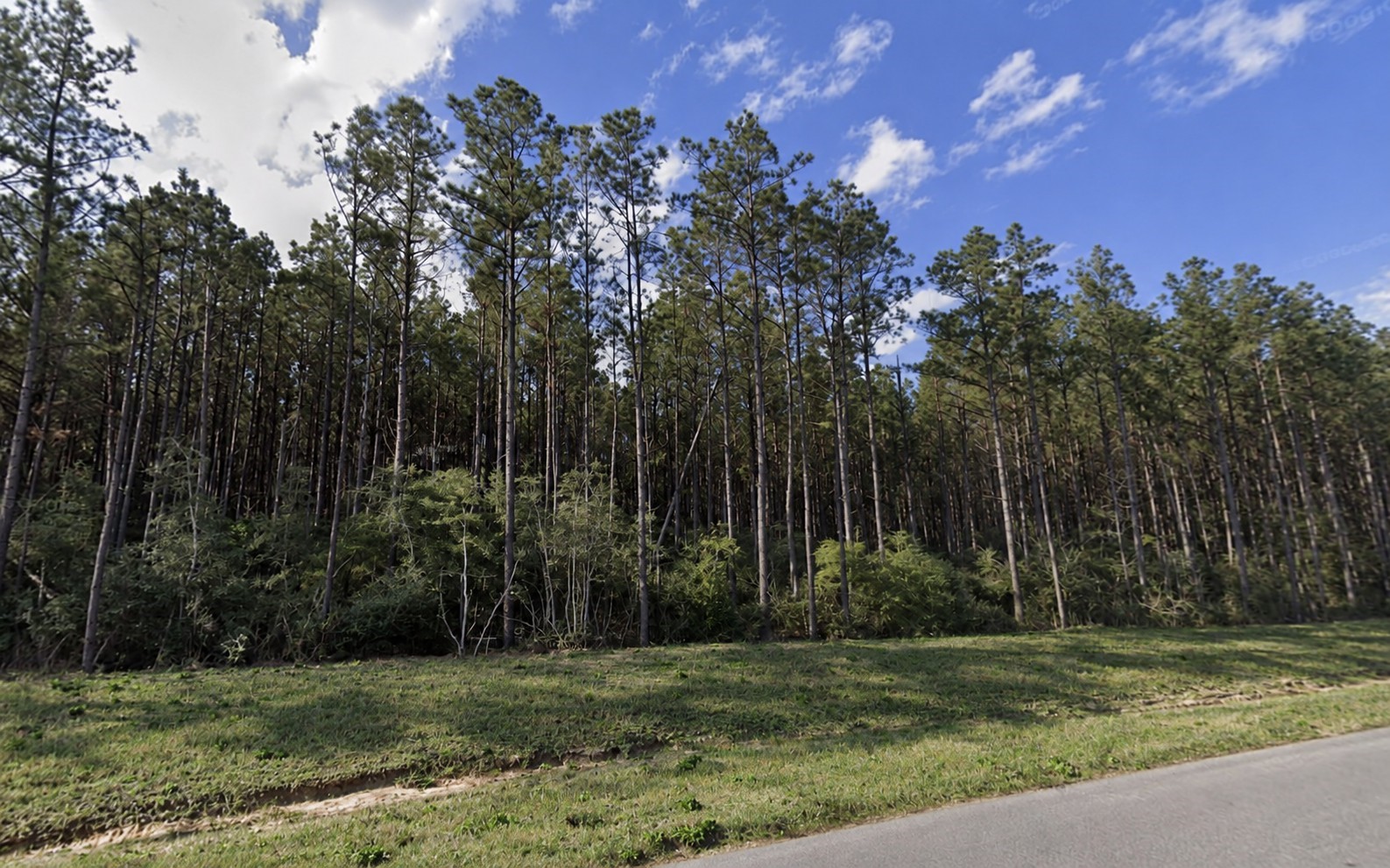 15997 Ridge Oak Road Property Photo 4