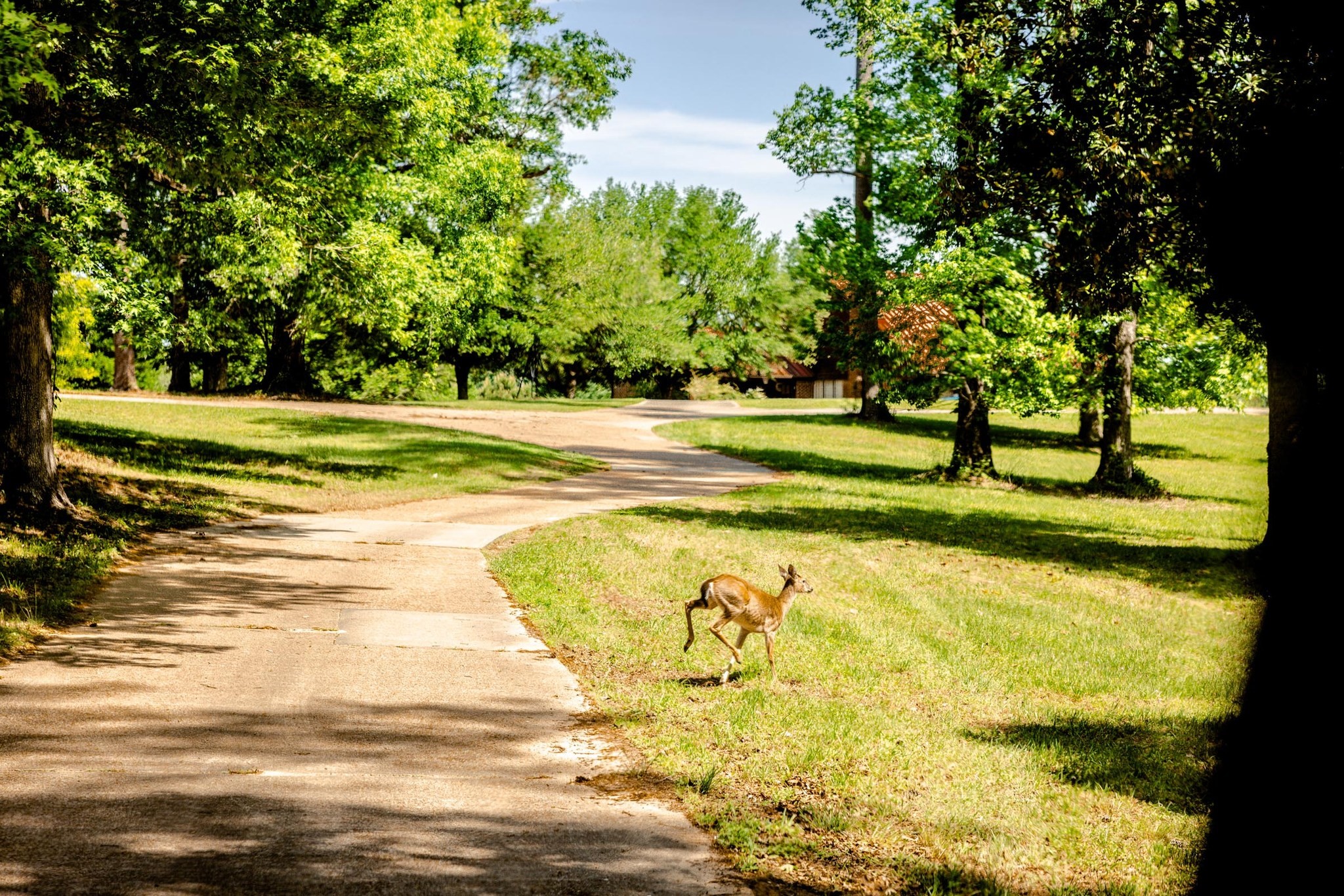 Tbd Green Valley Trail Property Photo 45