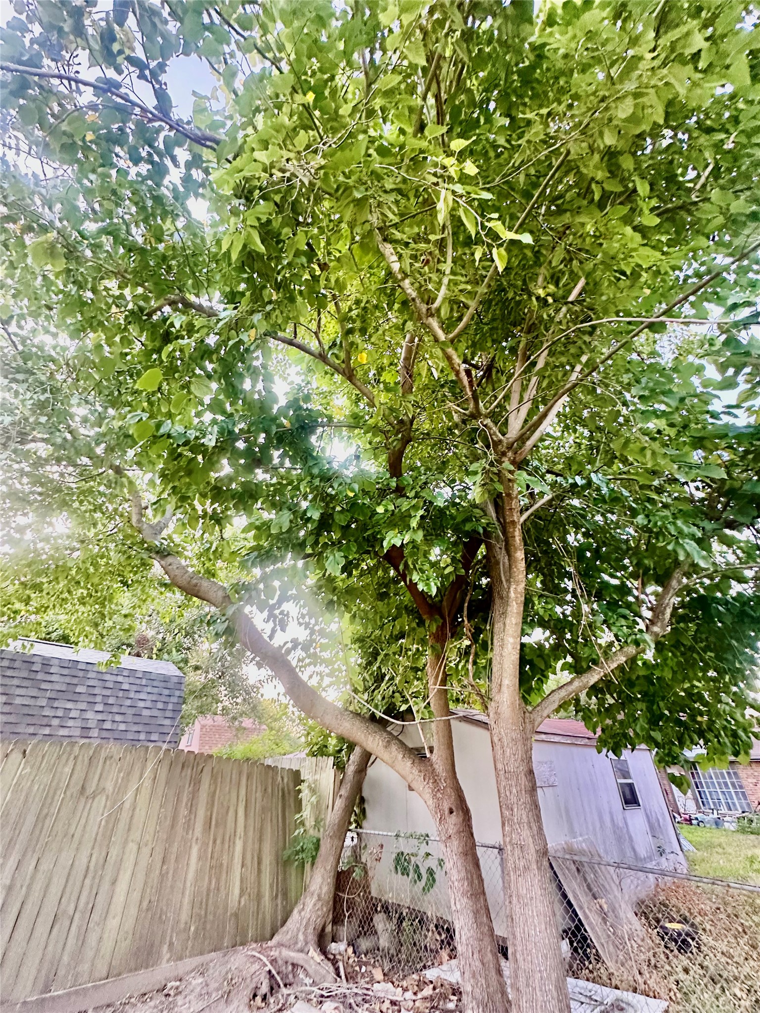 348 Hinken Street Property Photo 6