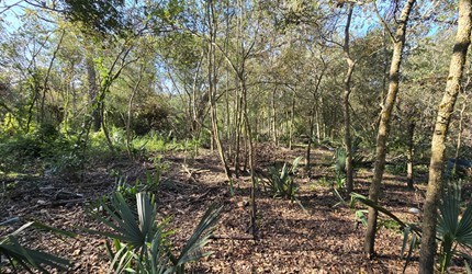 000 Bayou Road Property Photo 3