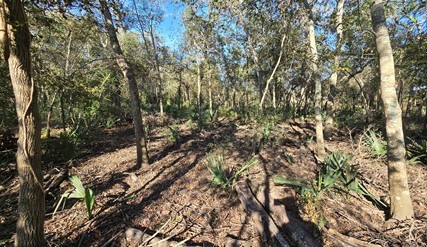 000 Bayou Road Property Photo 4