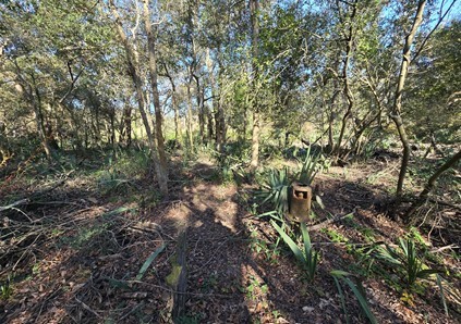000 Bayou Road Property Photo 5